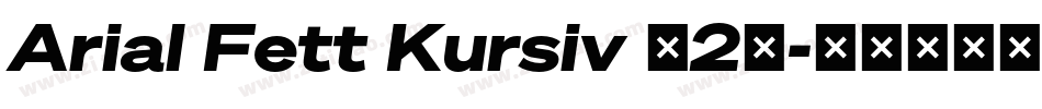 Arial Fett Kursiv (2)字体转换
